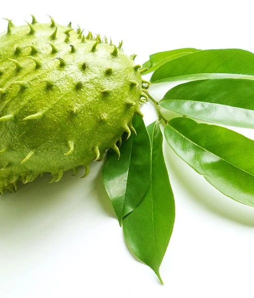 Graviola - čistý extrakt z listov Annona muricata, 90 ks, Superionherbs