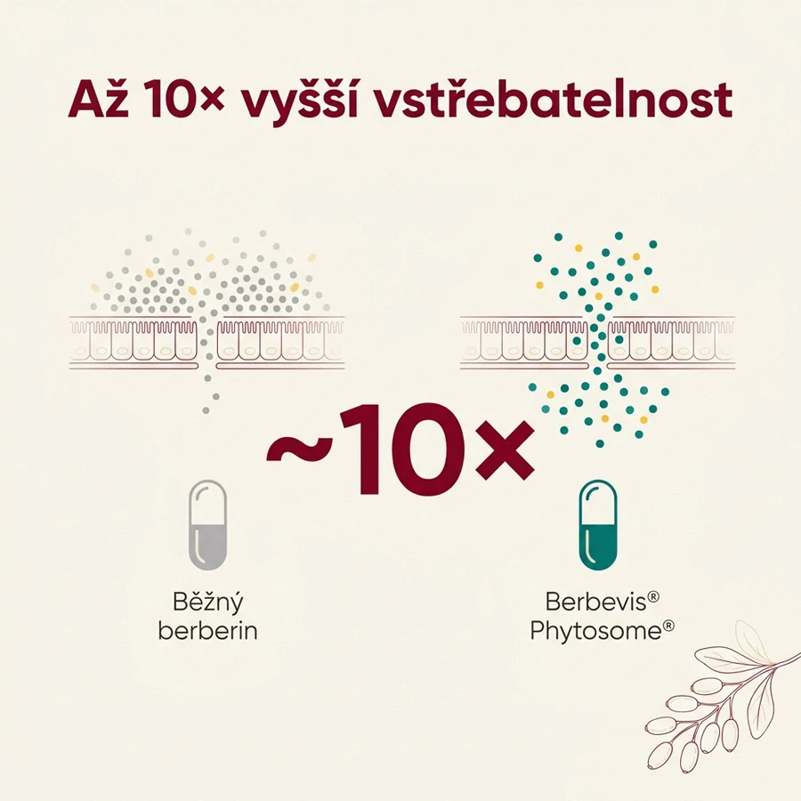 GLYCOshift™ – Berbevis® Berberin & Greenselect® Phytosome®, 90 kapsúl, Superionherbs