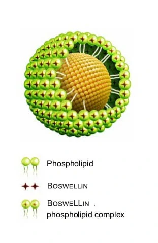 Boswellia Phytosome® – boswellin s vysokou vstrebateľnosťou, Superionherbs