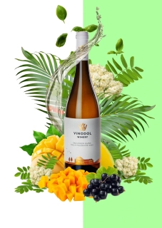 Sauvignon Vinodol Winery